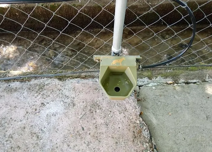 Apartment To Nature B Amos